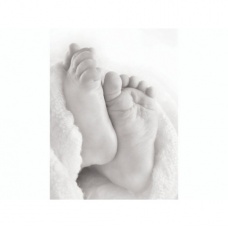 Ornem. cire Step by Step 60x80mm