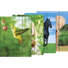 Chemise 3-rabats A4 Animaux 4motifs