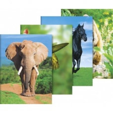 Chemise 3-rabats A3 Animaux 4motifs