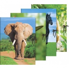 Chemise à rubans A3 Animaux 4motifs