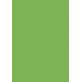 Carton A4 vert gazon