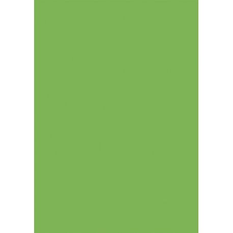 Carton A4 vert gazon