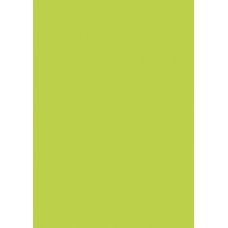 Carton A4 vert pomme