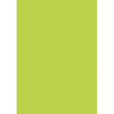 Carton A4 vert pomme