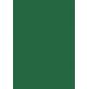 Carton A4 vert sapin