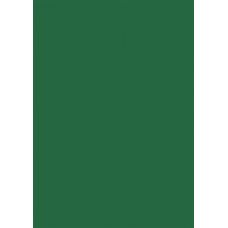 Carton A4 vert sapin