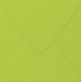 Enveloppe carr. vert pomme