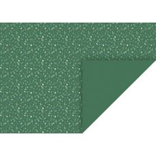 Carton 50x70cm 300g Rameaux vert