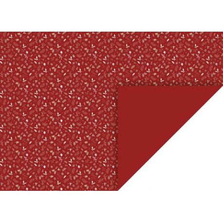 Carton 50x70cm 300g Rameaux rouge