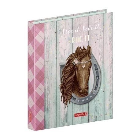Classeur 2anneaux A4 Ponylove