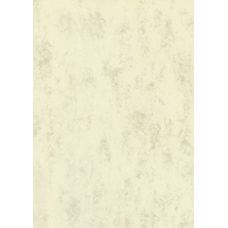 Papier A4 marbré 120g cha 35f
