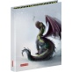 Classeur A4 2annx 20mm Drago