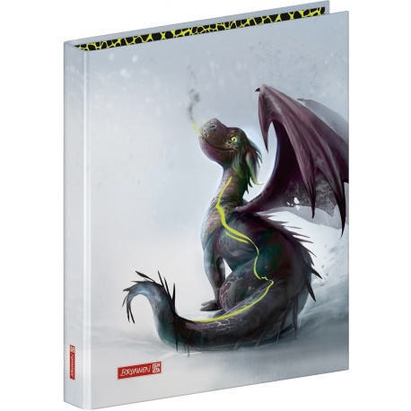 Classeur A4 2annx 20mm Drago
