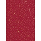 Carton A4 220g Étoiles rouge or