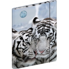 Boîte à cahiers A4 FoE Tiger