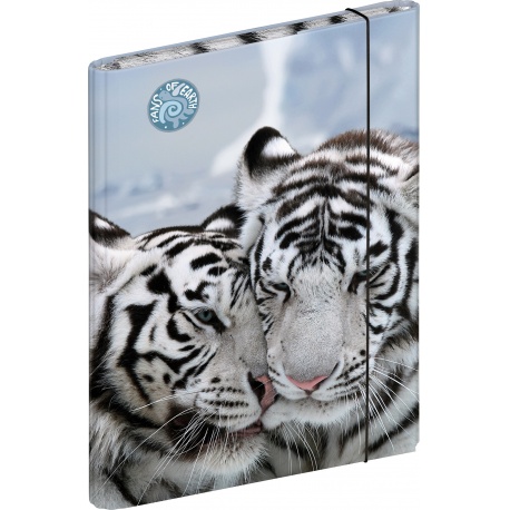 Boîte à cahiers A4 FoE Tiger