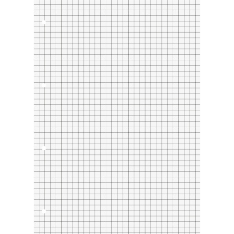 Bloc scolaire A4 Premium n°7 100p