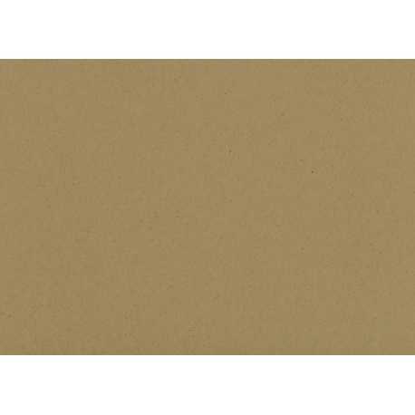 Carton Nature 50x70 220g marron