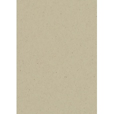 Carton Nature A4 220g marron-gris