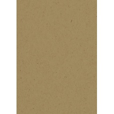 Carton Nature A4 220g marron