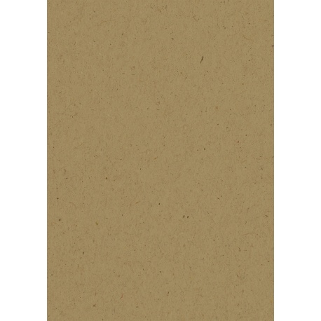 Carton Nature A4 220g marron