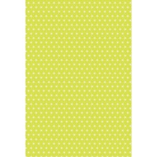 Carton 50x70cm 300g Starlight lime