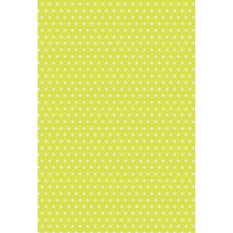 Carton 50x70cm 300g Starlight lime