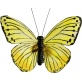 Papillon jaune 9cm 2pces