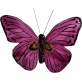 Papillon rouge 9cm 2pces