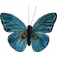 Papillon vert 9cm 2pces