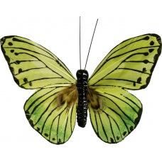 Papillon vert 9cm 2pces