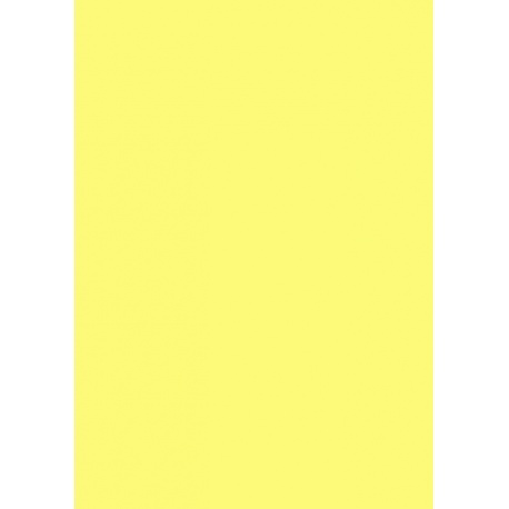 Carton affiche 48x68 380g citron