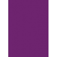Papier de soie 50x70cm 5pc violet