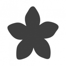 Perforatrice grand mod.Bouton5pétal