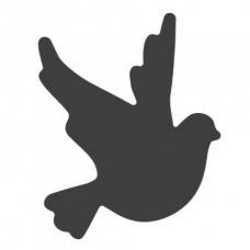 Perforatrice petit mod.Colombe