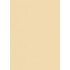 Papier couleur 50x70 130g beige