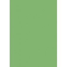 Papier couleur 50x70 130g vert moy