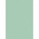 Papier couleur 50x70 130g menthe