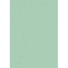 Papier couleur 50x70 130g menthe