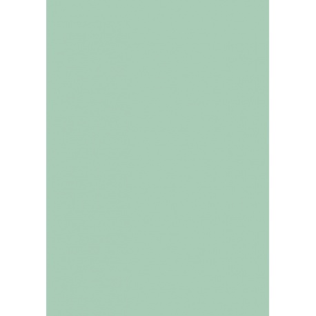 Papier couleur 50x70 130g menthe