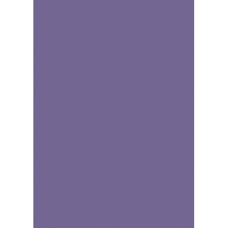 Papier couleur 50x70 130g violet f
