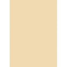 Papier couleur A4 130g beige