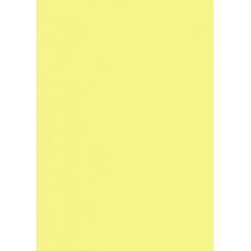 Papier couleur A4 130g jaune citron