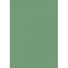 Papier couleur A4 130g vert feuill.