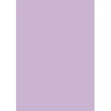 Papier couleur A4 130g mauve