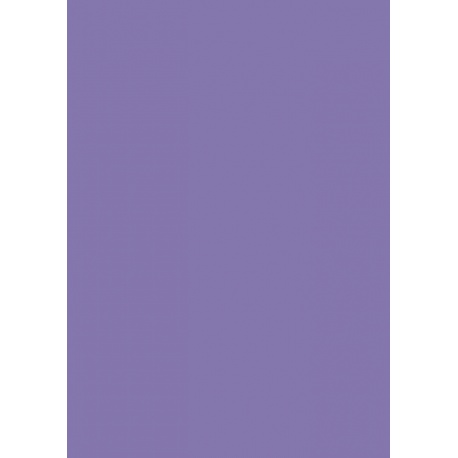 Papier couleur 70x100 130g lilas