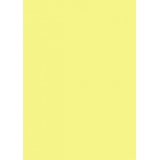 Carton couleur 50x70 300g jaune cit