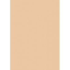 Carton couleur 50x70 300g abricot