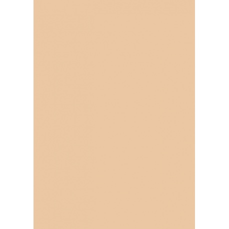 Carton couleur 50x70 300g abricot