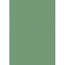 Carton couleur 50x70 300g vert feui
